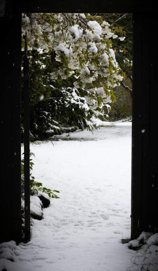 Arden Country House Bnb - Entire House To Yourself -Peace In The Country Dunedin Exterior foto